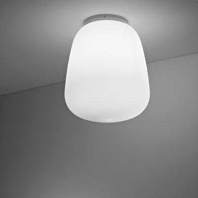 Бра Fabbian  Настенный/Потолочный светильник Lumi Baka d33 арт. F07E0701