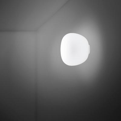 Бра Fabbian  Настенный/Потолочный светильник Lumi Mochi d20 арт. F07G0301