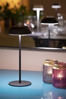 Лампа AXOLIGHT  Настольная лампа Float Mauve Dust арт. LTFLOATXMDBCLED