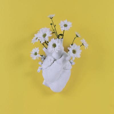 Ваза Seletti Ваза Love in Bloom арт. 09920
