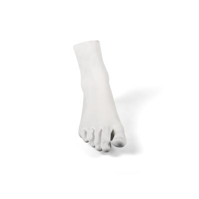Статуэтка Seletti Статуэтка Memorabilia Mvsevm Female Foot арт. 10070