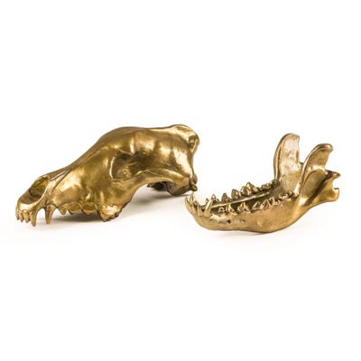 Статуэтка Seletti Статуэтка Wunderkrammer Wolf Skull арт. 10892
