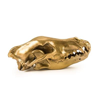 Статуэтка Seletti Статуэтка Wunderkrammer Wolf Skull арт. 10892
