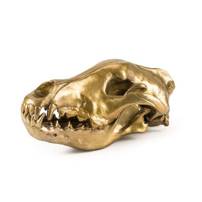 Статуэтка Seletti Статуэтка Wunderkrammer Wolf Skull арт. 10892