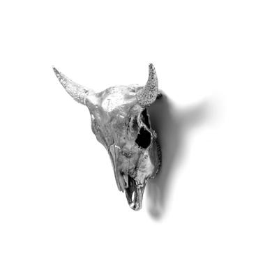 Статуэтка Seletti Статуэтка Wunderkammer Bison Skull арт. 10899