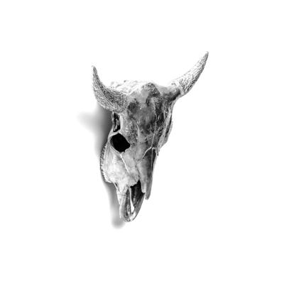 Статуэтка Seletti Статуэтка Wunderkammer Bison Skull арт. 10899