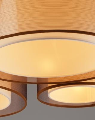 Потолочный светильник Moderli Светильник потолочный Moderli V10624-5C Room арт. УТ000036813