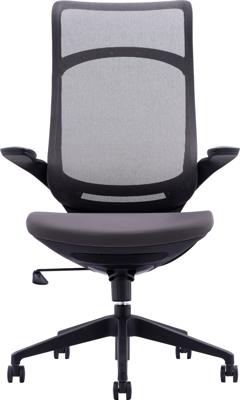 Кресло руководителя Everprof Кресло руководителя Everprof Spirit (Спирит) Сетка Черный арт. ZN-434149
