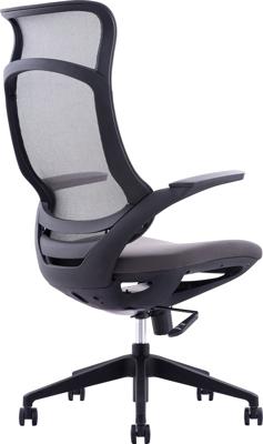 Кресло руководителя Everprof Кресло руководителя Everprof Spirit (Спирит) Сетка Черный арт. ZN-434149
