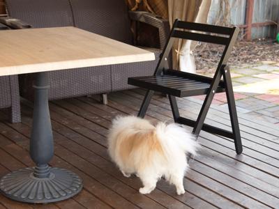 Стул ZiP-mebel Складной стул Даччи венге арт. R300790D00