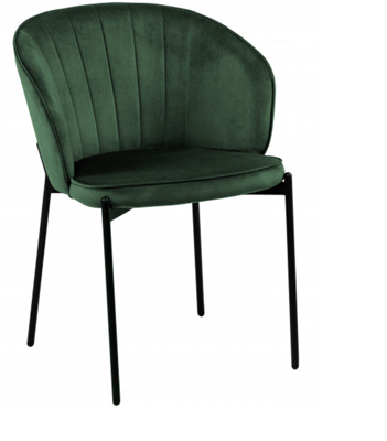 Стул ZiP-mebel Стул Дэвви арт. H191_0119