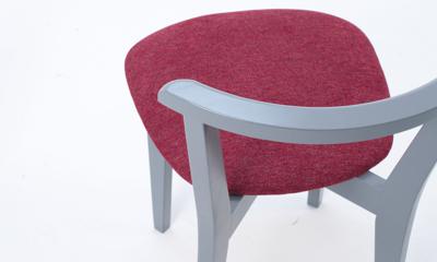 Стул ZiP-mebel Стул Франк ПМ серый/красный арт. R101737G05