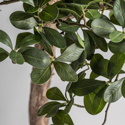 Цветок Vical Искусственное растение FICUS 38081 арт. 505108