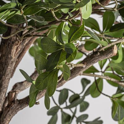 Цветок Vical Искусственное растение FICUS 38083 арт. 505110