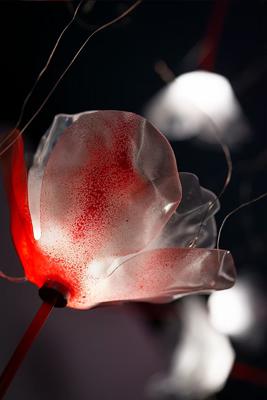 Подвесной светильник Slamp Подвесной светильник Poppy 14 арт. POPSL00PRR03SLD000EU