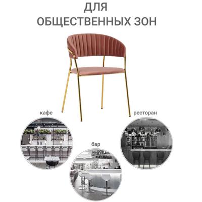 Стул Bradexhome Стул Turin пудровый с золотыми ножками арт. FR 0161