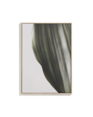 Декор La Forma (ех Julia Grup) Фотография листа Foliae размер 52 x 72 см арт. 481675