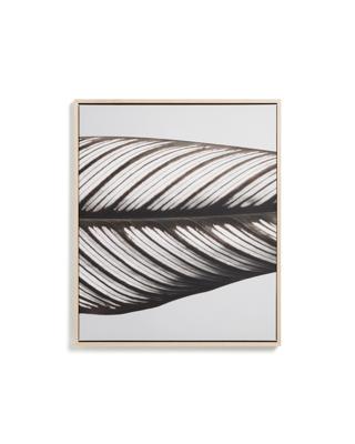 Декор La Forma (ех Julia Grup) Фотография листа Foliae размер 52,5 x 62,5 см арт. 481679