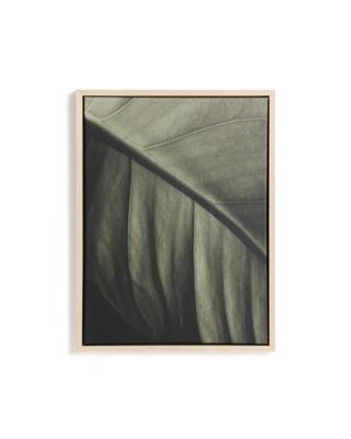 Декор La Forma (ех Julia Grup) Фотография листа Foliae размер 32,5 x 42,5 см арт. 481677