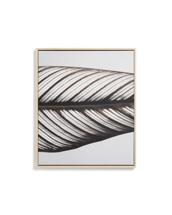 Декор La Forma (ех Julia Grup) Фотография листа Foliae размер 52,5 x 62,5 см арт. 481679