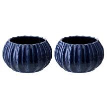 Набор посуды Tkano Набор из 2 салатников actinia синего цвета из коллекции sea treasures, 640 мл арт. TK25-TW_BW0001