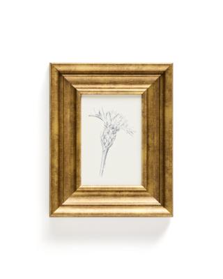 Постер La Forma (ех Julia Grup) Картина Yalira с ботанической иллюстрацией 32,8 x 70 см арт. 424943