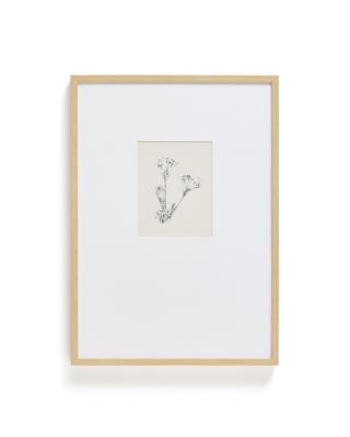 Постер La Forma (ех Julia Grup) Картина Lirena с ботанической иллюстрацией 70 x 50 см арт. 424859