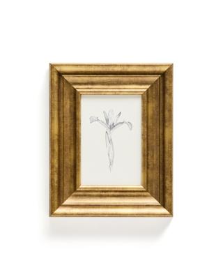 Постер La Forma (ех Julia Grup) Картина Yalira с ботанической иллюстрацией 70 x 32,8 см арт. 424945