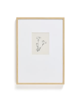 Постер La Forma (ех Julia Grup) Картина Lirena с ботанической иллюстрацией 50 x 70 см арт. 424857