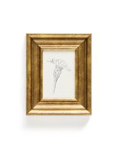Постер La Forma (ех Julia Grup) Картина Yalira с ботанической иллюстрацией 32,8 x 70 см арт. 424943