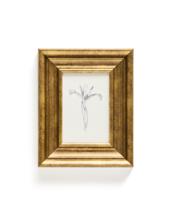 Постер La Forma (ех Julia Grup) Картина Yalira с ботанической иллюстрацией 70 x 32,8 см арт. 424945