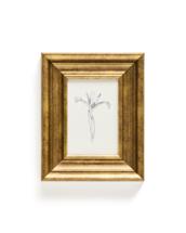 Постер La Forma (ех Julia Grup) Картина Yalira с ботанической иллюстрацией 70 x 32,8 см арт. 424945