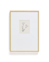 Постер La Forma (ех Julia Grup) Картина Lirena с ботанической иллюстрацией 50 x 70 см арт. 424857