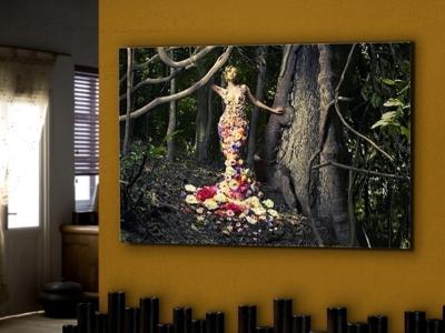 Постер Schuller Фотография Eden арт. 062972