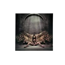 Постер Schuller Фотография Angel Caido 100x100 арт. 064304