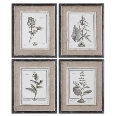 Постер Uttermost Постер Ботаника арт. ZN-404290