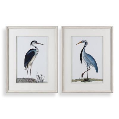Постер Uttermost Постеры Shore Birds Framed Prints, S/2 арт. ZN-410514