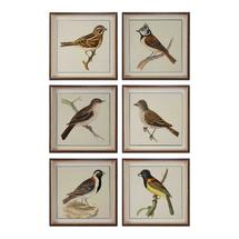 Постер Uttermost Постер SPRING SOLDIERS FRAMED PRINTS, S/6 арт. ZN-171044