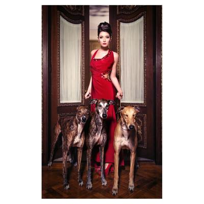 Постер Vical Прямоугольная канва Devila 206x306 арт. 167019