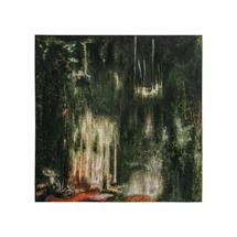 Постер Vical Холст ALERCE 200x200 арт. 262848