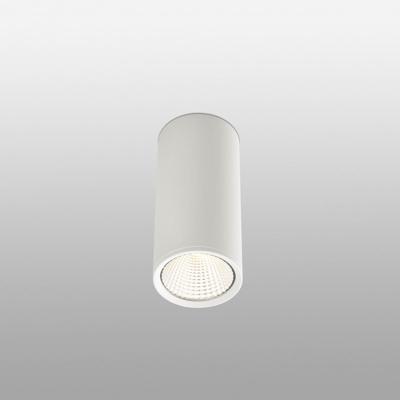 /i/potolochnyy-svetilnik-Faro-b06451213