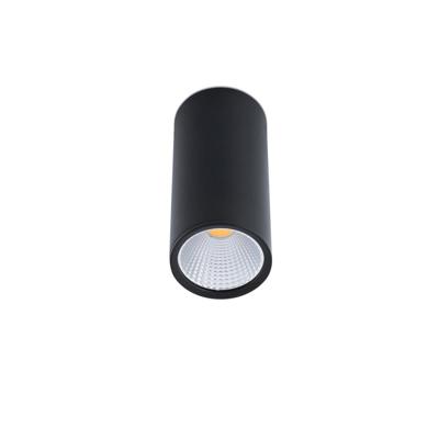 Потолочный светильник Faro Потолочный ветильник Rel-P черный арт. 061367
