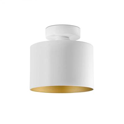 /i/potolochnyy-svetilnik-Faro-b11614641