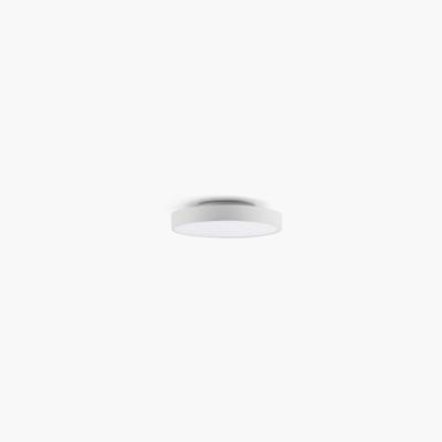 /i/potolochnyy-svetilnik-Faro-b12039979