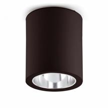 Потолочный светильник Faro Потолочный светильник Pote-1 черный 1L арт. 059561