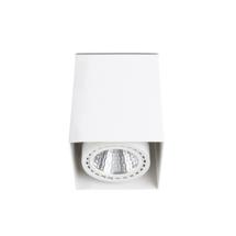 Потолочный светильник Faro Потолочный светильник Teko-1 белый LED 12-18W 3000K 56є арт. 118749