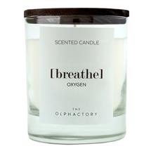 Свеча AMBIENTAIR Свеча ароматическая the olphactory, breathe black, Кислород, 40 ч арт. VV402OXBTO