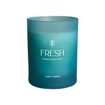 Свеча Vical Ароматическая свеча FRESH 500 г арт. 167863